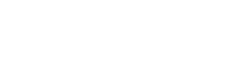 Logo blanc David Larrat Avocats